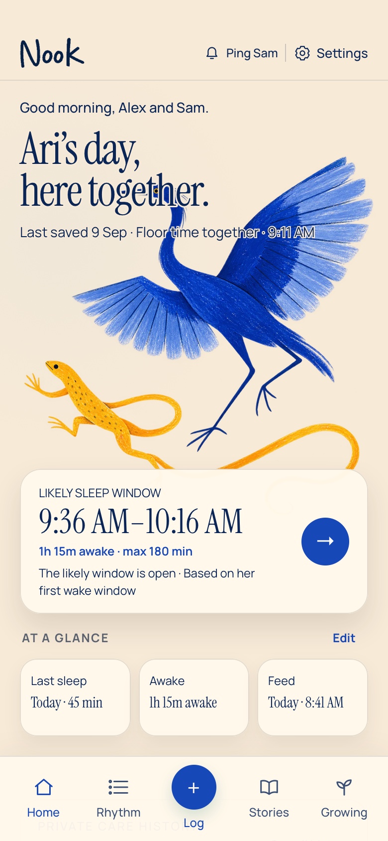 Nook home screen with fictional family data, recent sleep and a likely sleep window