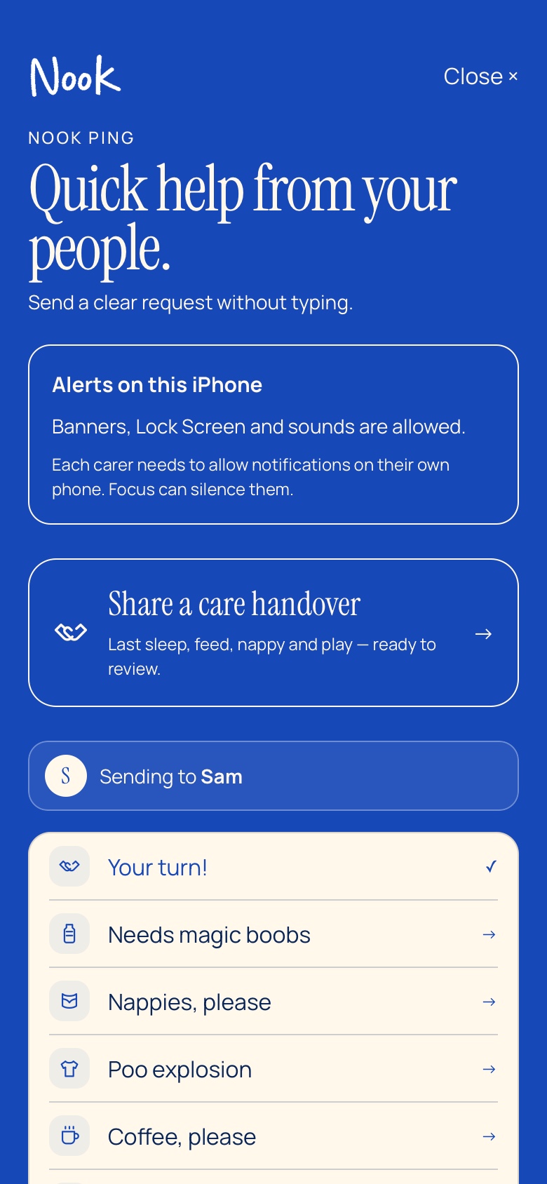 Nook Ping with quick requests and a care handover shortcut